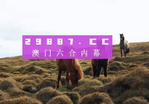 澳门4949开奖现场直播+开,澳门4949开奖现场直播与犯罪问题探讨