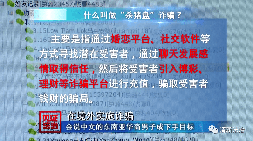 2004澳门天天开好彩大全,澳门天天开好彩，揭秘背后的真相与警惕违法犯罪的重要性