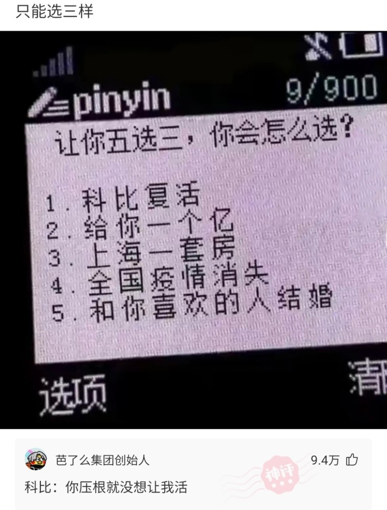 今晚澳门特马必开一肖,今晚澳门特马必开一肖，探索生肖与彩票的神秘联系