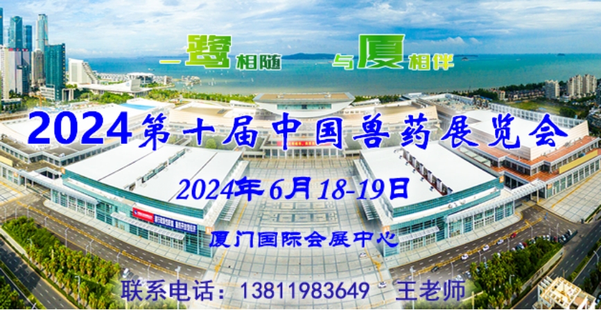 2025年新澳门天天开好彩,探索未来，新澳门天天开好彩的2025展望