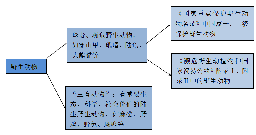 技术咨询 第99页