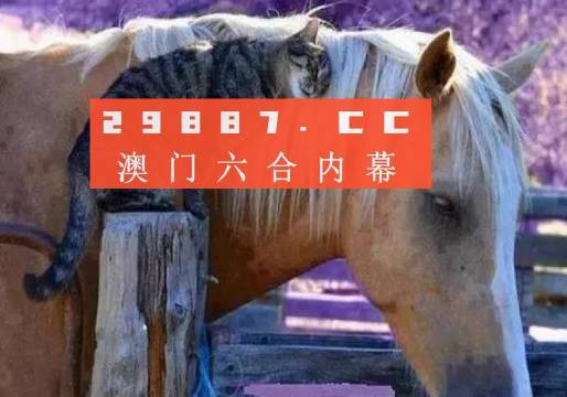 澳门二四六精准大全,澳门二四六精准大全，探索与解析